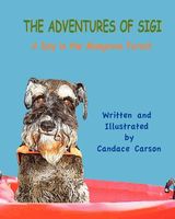 Paperback edition cover