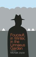 Cover of Foucault, in Winter, in the Linnaeus Garden by Michael Joyce