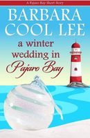 A Winter Wedding in Pajaro Bay