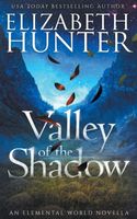 Valley of the Shadow