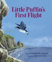 Little Puffin's First Flight