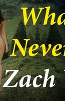 Cover of What We Never Had by Zach Wyner