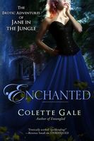 Cover of Enchanted: A New Love by Colette Gale