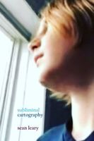 Cover of Subliminal Cartography by Sean Leary