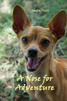 Cover of A Nose for Adventure by Sheila Deeth