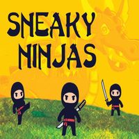 Sneaky Ninja