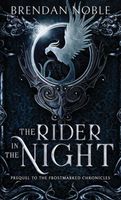 The Rider in the Night