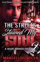 The Streets Stained my Soul 2