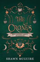 Shawn McGuire's Latest Book