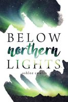 Below Northern Lights
