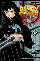 Demon Slayer: Kimetsu no Yaiba, Vol. 12: The Upper Ranks Gather