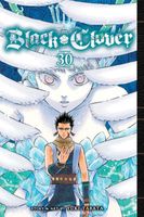 Black Clover, Vol. 30: Glad Tidings