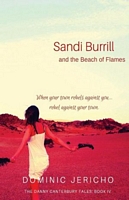 Sandi Burrill and the Beach of Flames
