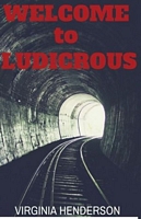 Welcome to Ludicrous