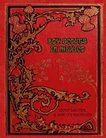 Paperback edition cover