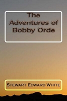 Paperback edition cover