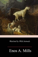 Paperback edition cover