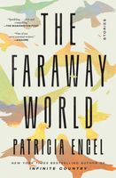 The Faraway World