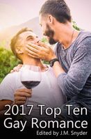 Cover of 2017 Top Ten Gay Romance by J.M. Snyder