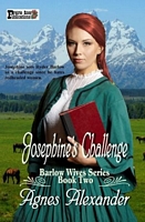 Josephine's Challenge