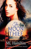 The Moon Thief