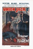 Prisoner of the Harem