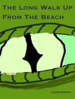 Cover of The Long Walk Up From The Beach by Andrew McEwan