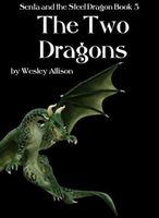 The Two Dragons