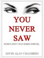 Cover of You Never Saw by David Chambers