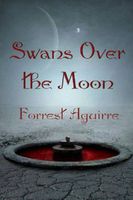 eBook edition cover