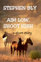 Aim Low, Shoot High