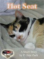 Cover of Hot Seat by P. Orin Zack