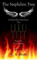 eBook edition cover