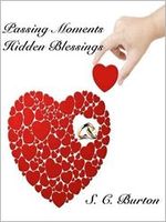 Cover of Passing Moments, Hidden Blessings by S.C. Burton