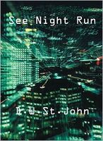 Cover of See Night Run by D.W. St. John