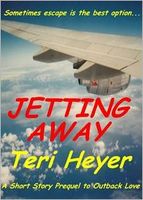Teri Heyer's Latest Book