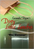 Cover of The Elevator by Cassandre Dayne