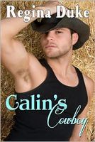 Calin's Cowboy