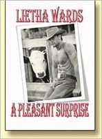 Cover of A Pleasant Surprise by Lietha Wards