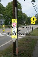 Cover of A Safe Crossing by T.J. Robertson