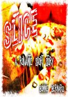 Cover of Slice by Bonnie Bernard