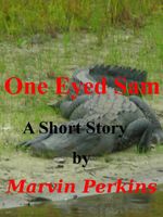 Cover of One Eyed Sam by Marvin Perkins