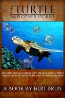 Cover of The Turtle and Other Stories by Bert Brun by Bert Brun