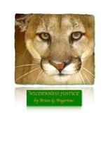 Cover of Wilderness Justice by Brian Angevine