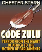 Cover of Code Zulu by Chester Stern