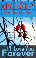 eBook edition cover