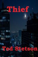 Cover of Thief by Ted Stetson