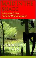 Bridget Allison's Latest Book