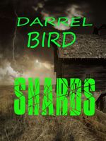 Cover of Shards by Darrel Bird