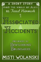 Cover of Associated Accidents by Misti Wolanski